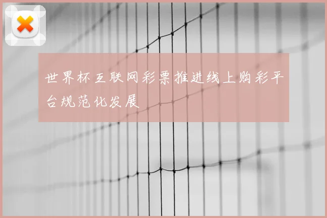世界杯互联网彩票推进线上购彩平台规范化发展