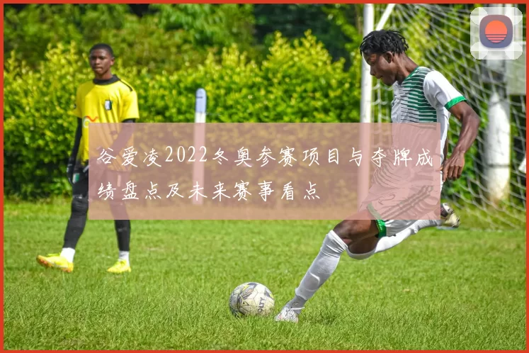 谷爱凌2022冬奥参赛项目与夺牌成绩盘点及未来赛事看点