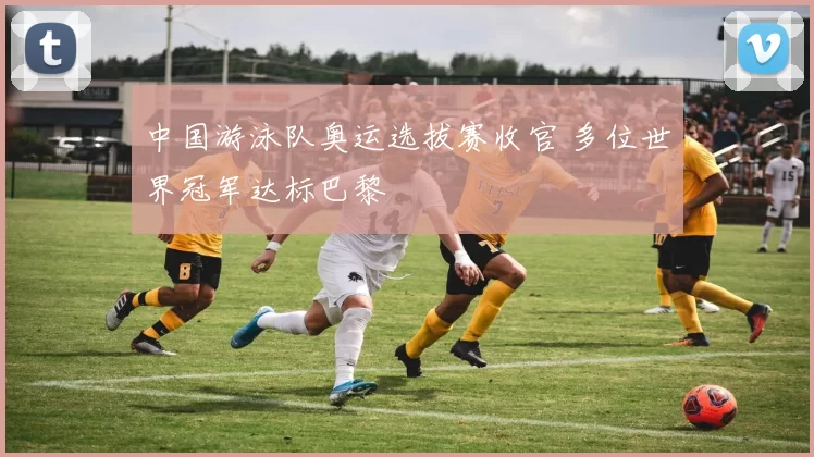 中国游泳队奥运选拔赛收官 多位世界冠军达标巴黎